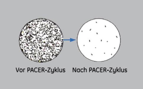 Pacer